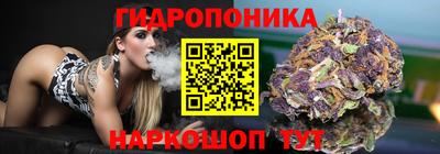 мяу мяу мука Малгобек