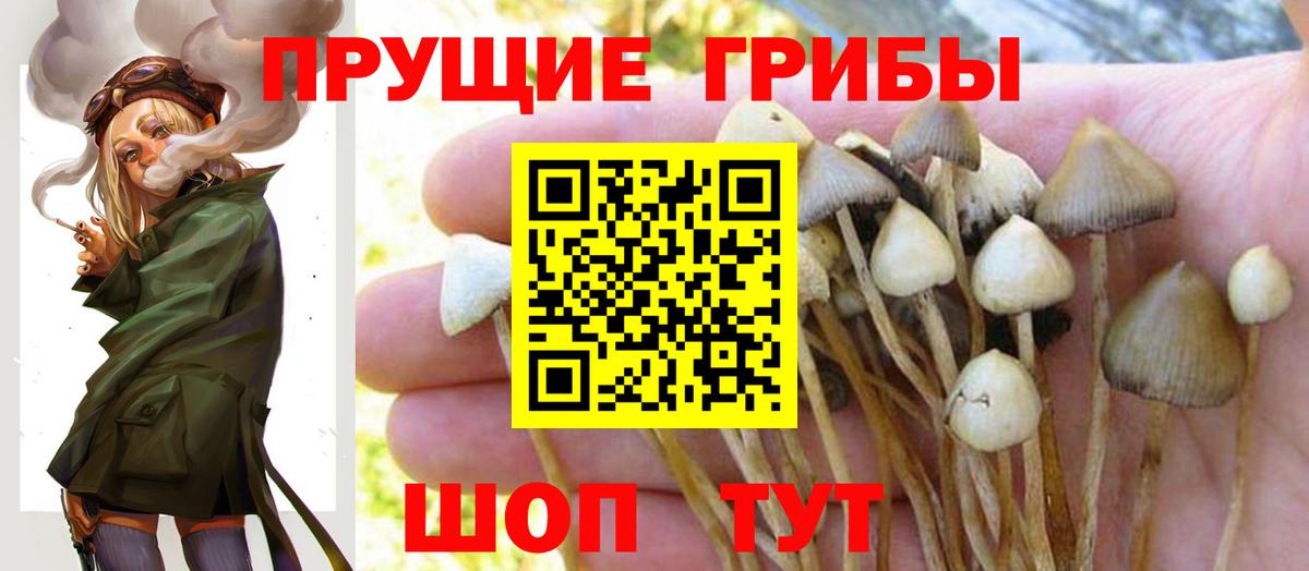 Псилоцибиновые грибы ЛСД Элиста