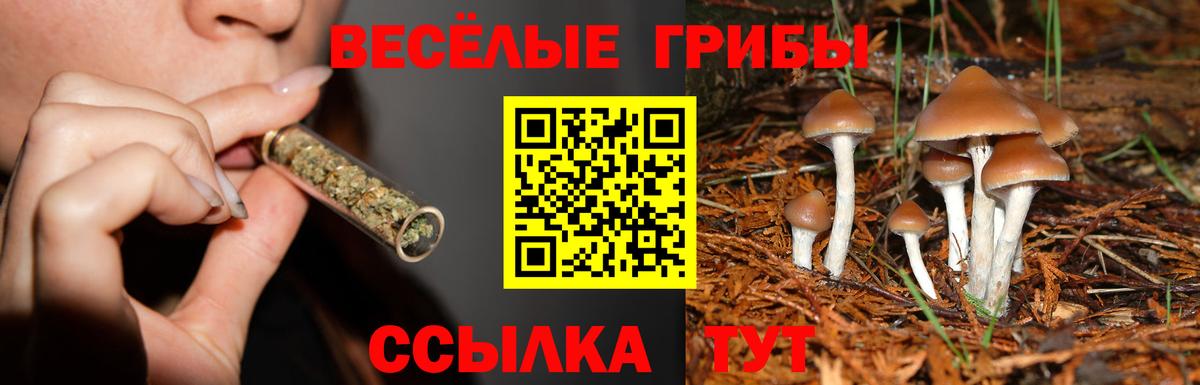 Галлюциногенные грибы Magic Shrooms  Вход с VPN  Псилоцибиновые грибы Psilocybe  Элиста 